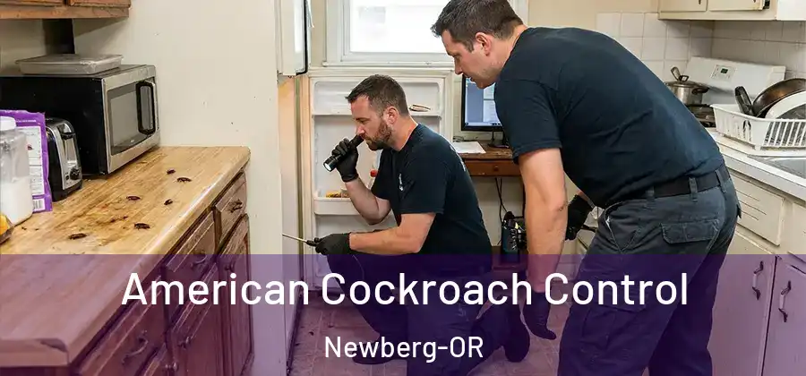  American Cockroach Control Newberg-OR