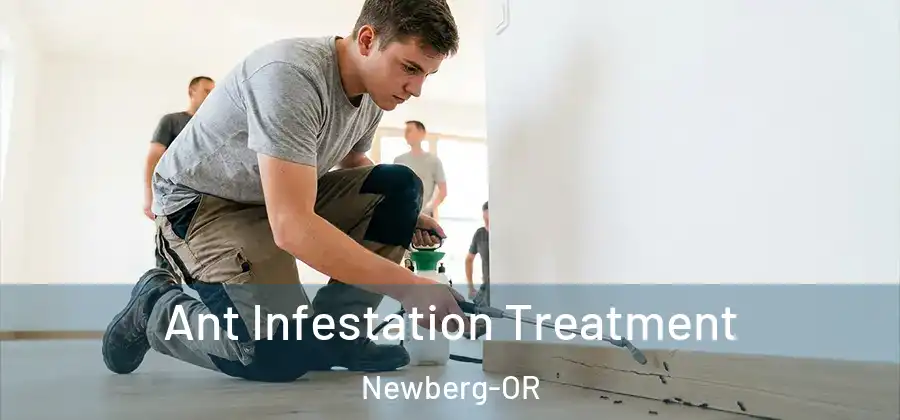 Ant Infestation Treatment Newberg-OR