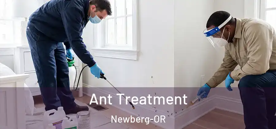  Ant Treatment Newberg-OR