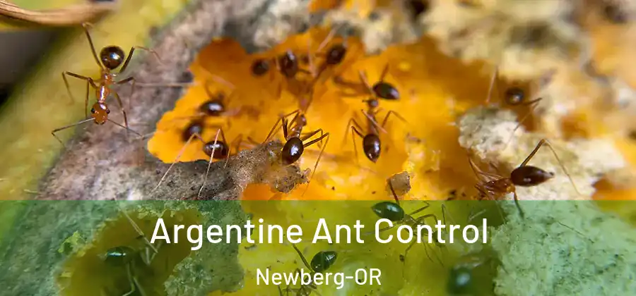 Argentine Ant Control Newberg-OR