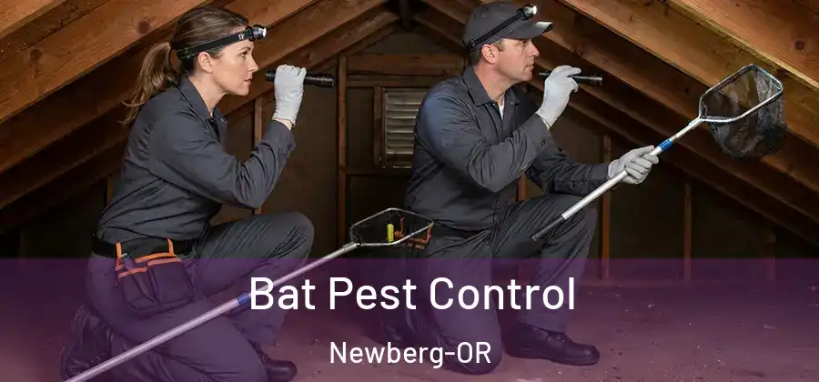 Bat Pest Control Newberg-OR