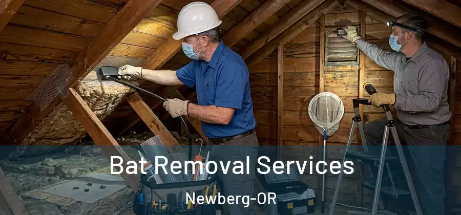 Bat Removal Services Newberg-OR