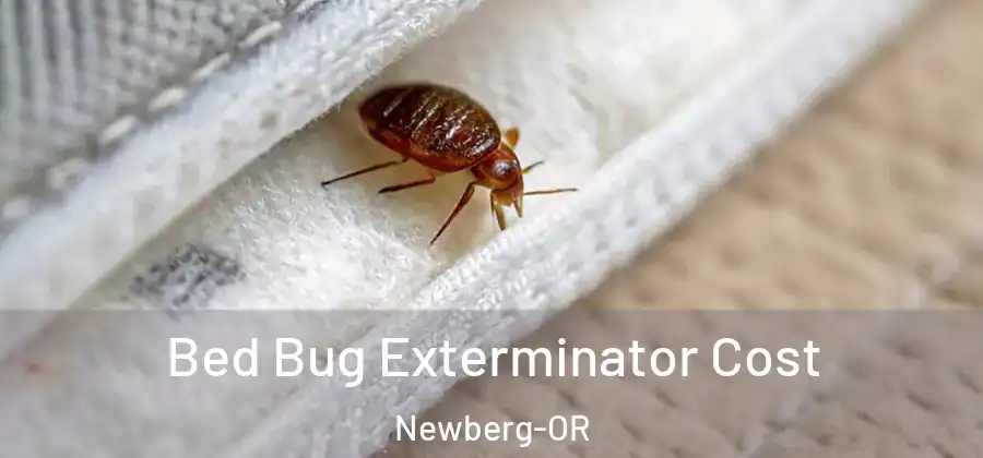  Bed Bug Exterminator Cost Newberg-OR