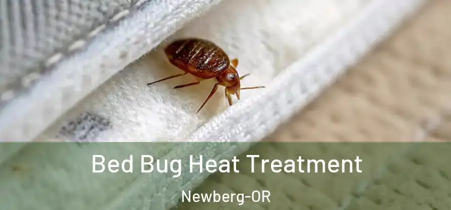  Bed Bug Heat Treatment Newberg-OR