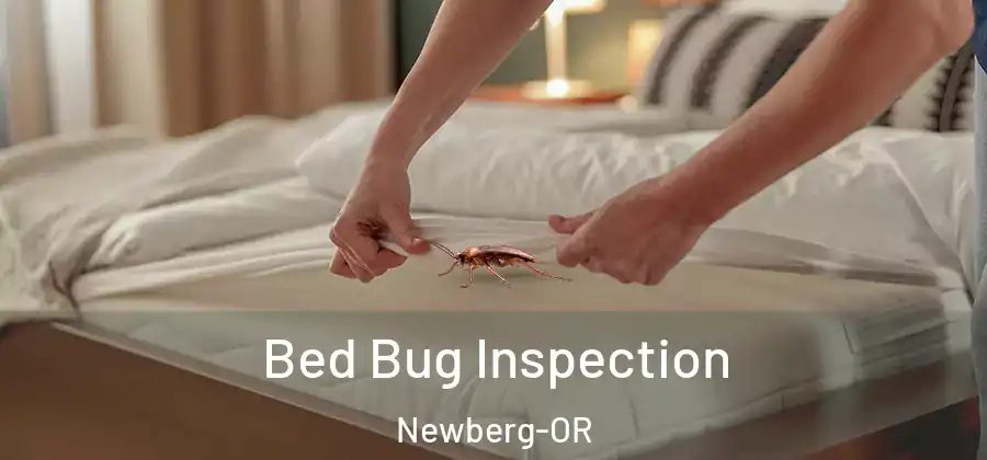 Bed Bug Inspection Newberg-OR