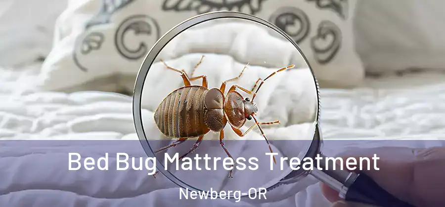  Bed Bug Mattress Treatment Newberg-OR