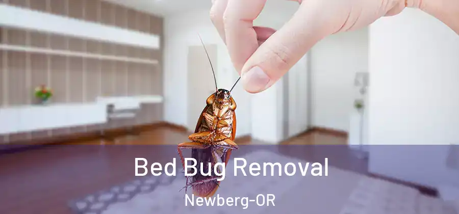  Bed Bug Removal Newberg-OR
