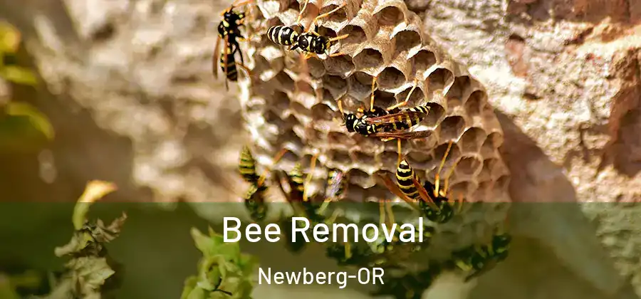  Bee Removal Newberg-OR