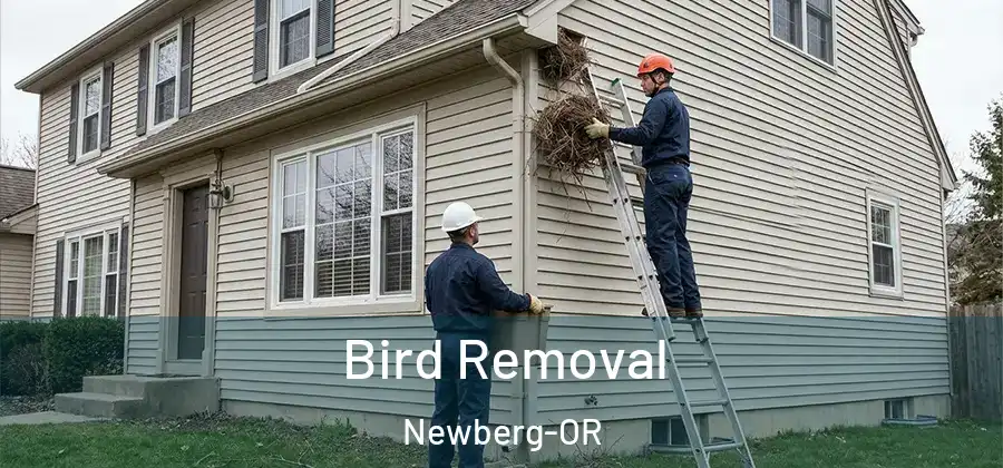 Bird Removal Newberg-OR