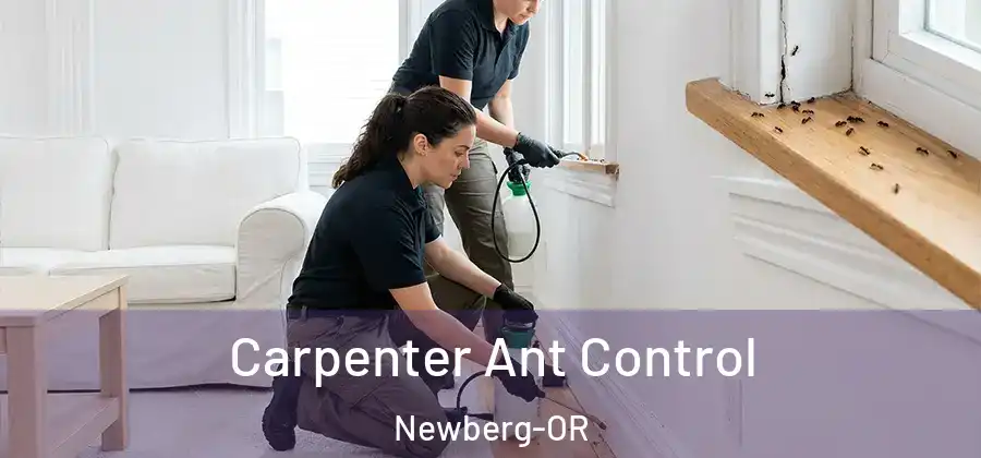 Carpenter Ant Control Newberg-OR