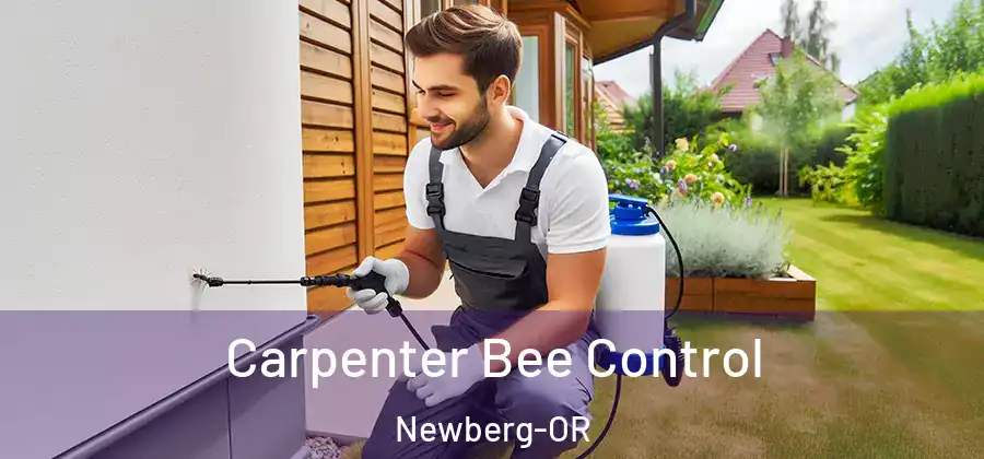 Carpenter Bee Control Newberg-OR