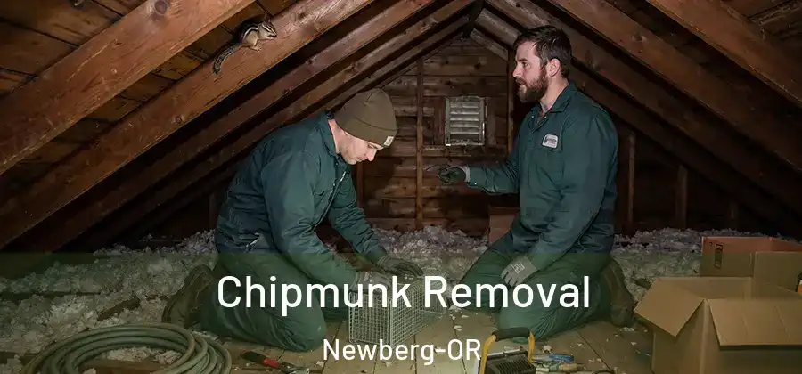 Chipmunk Removal Newberg-OR