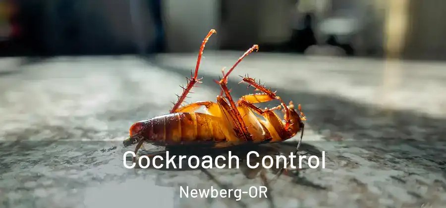 Cockroach Control Newberg-OR