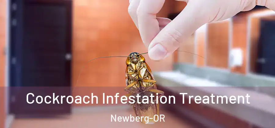 Cockroach Infestation Treatment Newberg-OR