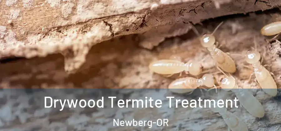 Drywood Termite Treatment Newberg-OR