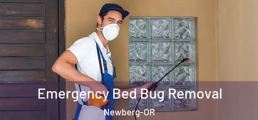  Emergency Bed Bug Removal Newberg-OR