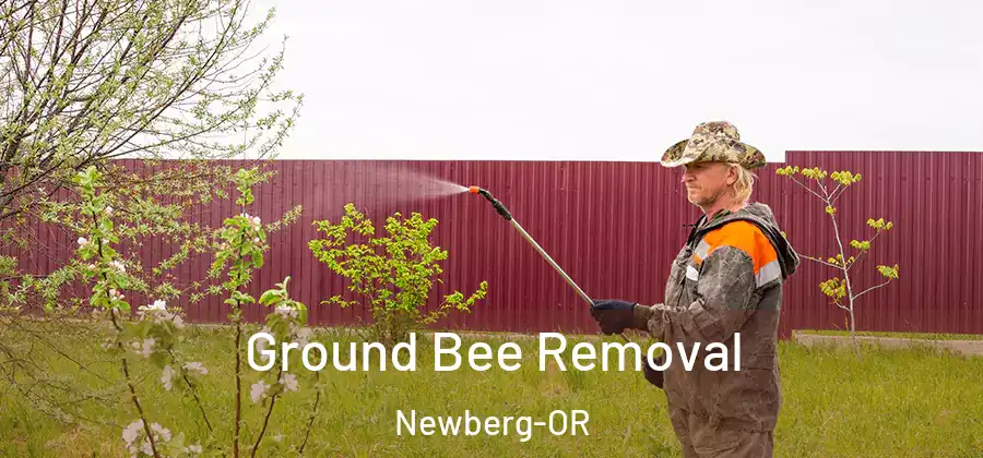  Ground Bee Removal Newberg-OR