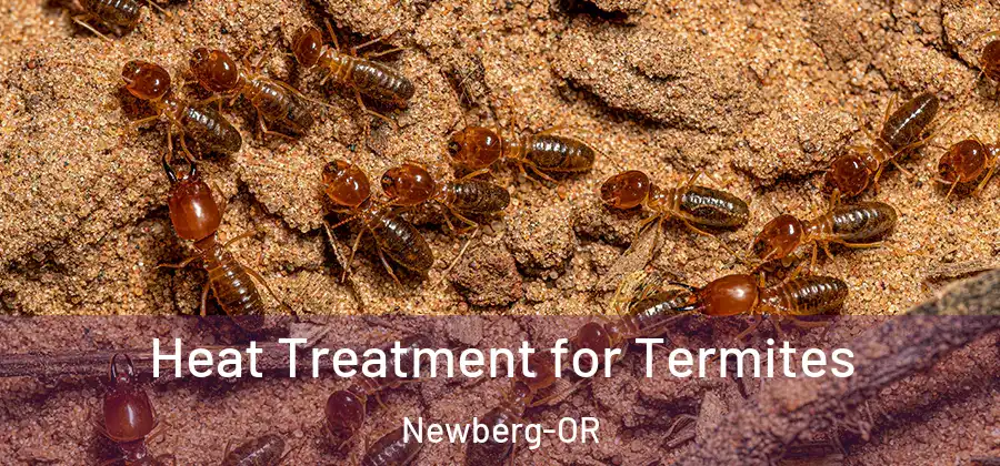 Heat Treatment for Termites Newberg-OR