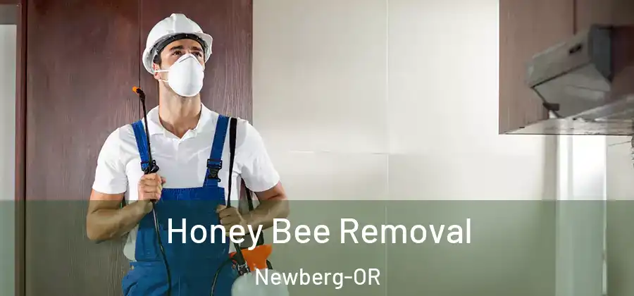Honey Bee Removal Newberg-OR
