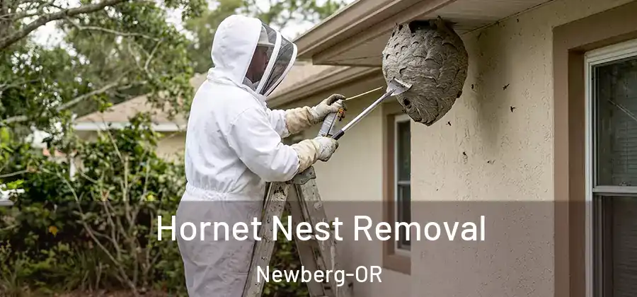 Hornet Nest Removal Newberg-OR