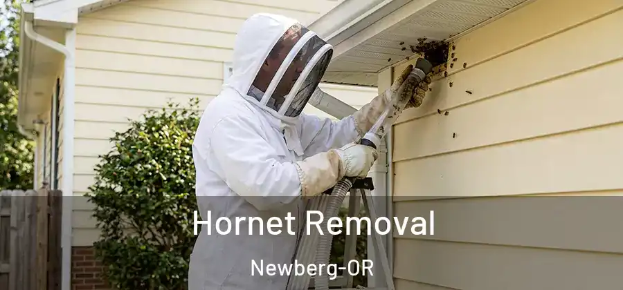 Hornet Removal Newberg-OR
