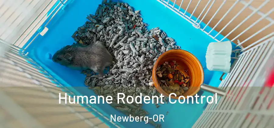  Humane Rodent Control Newberg-OR