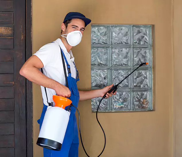 Your Reliable Pest Control in Newberg, OR