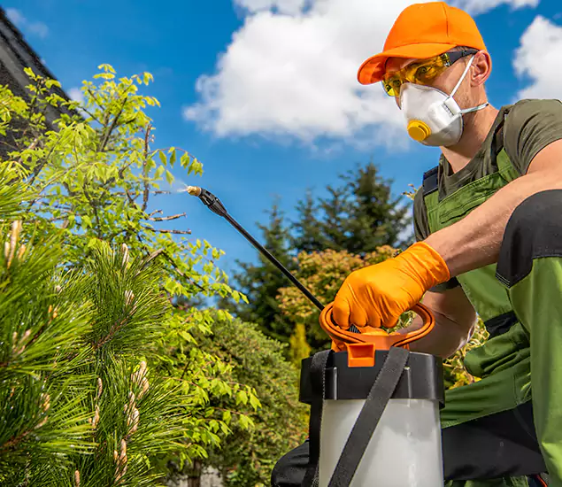 Your Best Bug Spray for Home Team in Newberg, OR