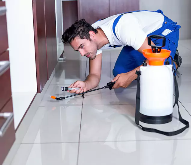Reliable Professional Mouse Removal: Your Best Mouse Control Company in Newberg, OR