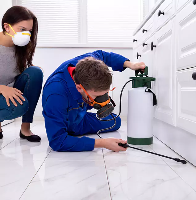 Why Newberg, OR Homeowners Trust Newberg Pest Control Pro for Roach Control?