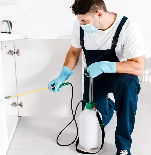 Why Choose Newberg Pest Control Pro for Indoor Pest Control in Newberg, OR?