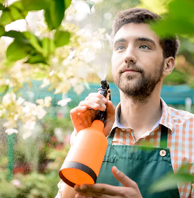 Why Newberg Homeowners Call Newberg Pest Control Pro for Mosquitoes in House?