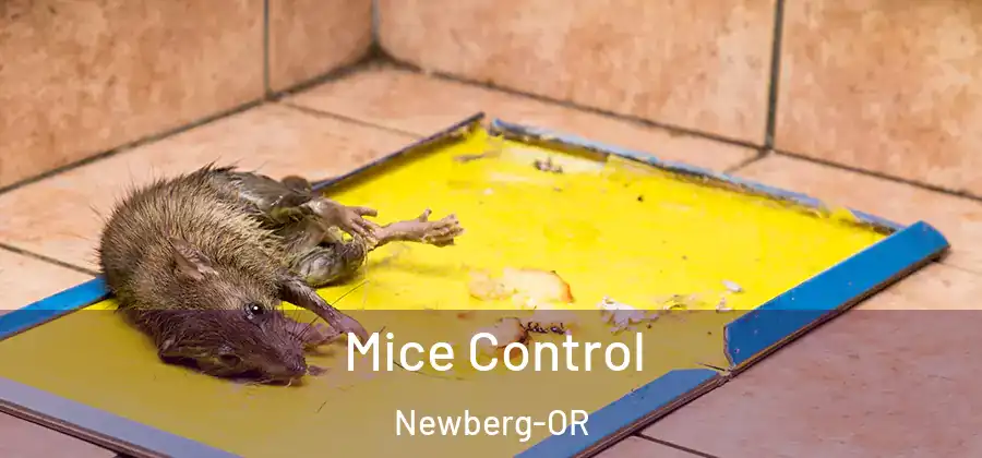 Mice Control Newberg-OR