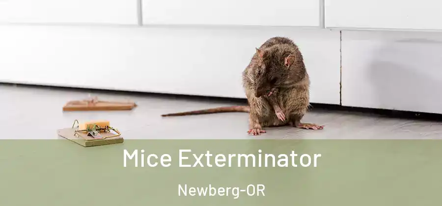  Mice Exterminator Newberg-OR
