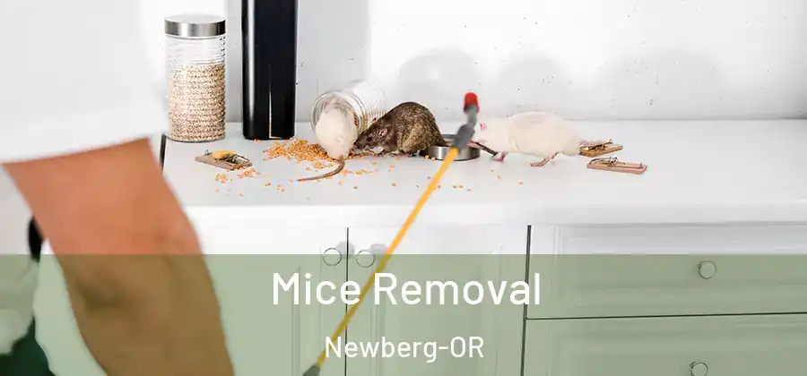  Mice Removal Newberg-OR