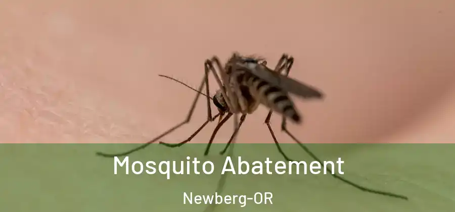 Mosquito Abatement Newberg-OR