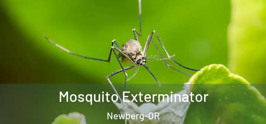 Mosquito Exterminator Newberg-OR