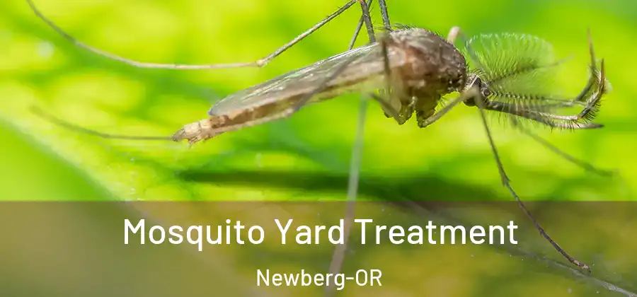  Mosquito Yard Treatment Newberg-OR