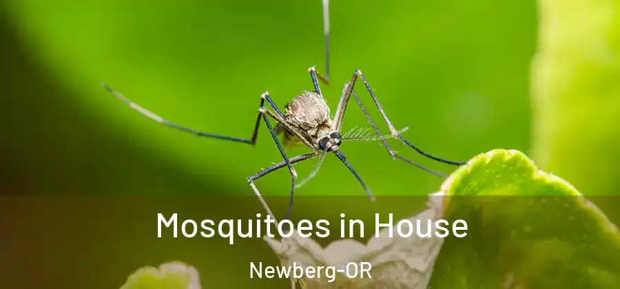 Mosquitoes in House Newberg-OR