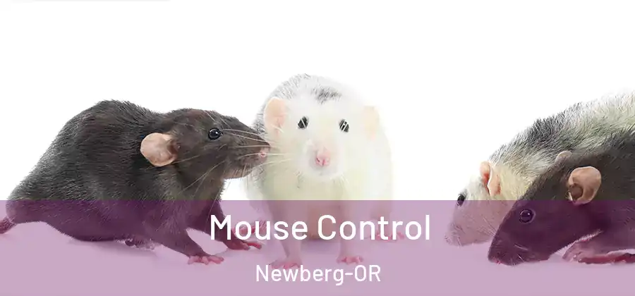 Mouse Control Newberg-OR