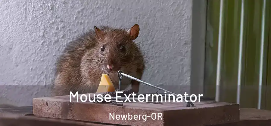 Mouse Exterminator Newberg-OR