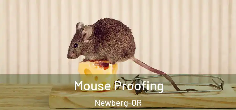 Mouse Proofing Newberg-OR