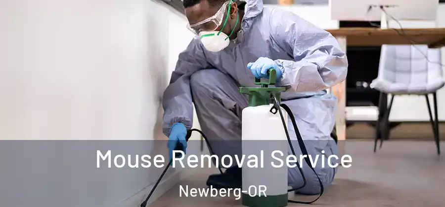 Mouse Removal Service Newberg-OR