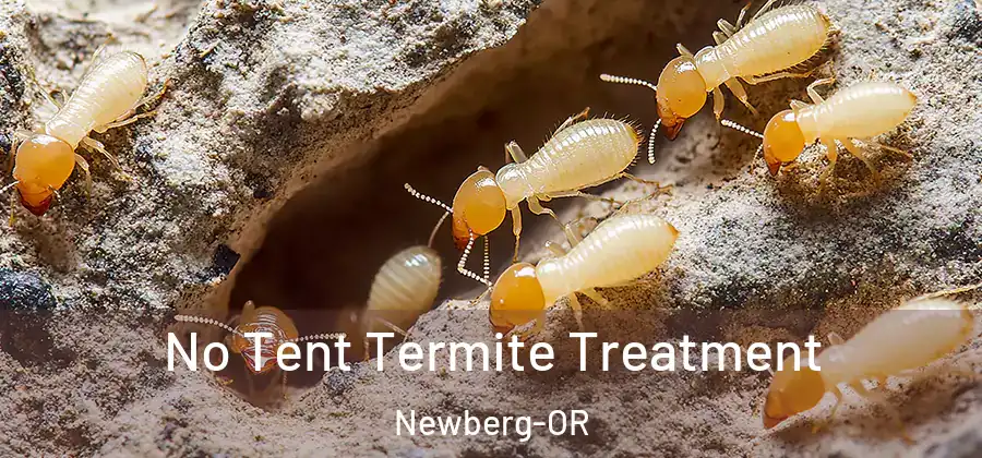  No Tent Termite Treatment Newberg-OR