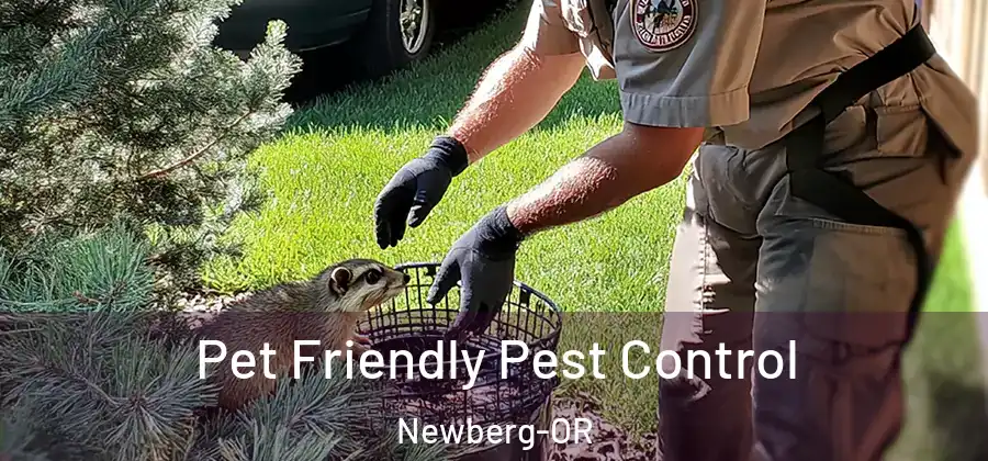  Pet Friendly Pest Control Newberg-OR