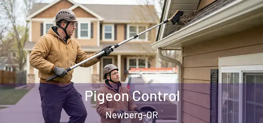 Pigeon Control Newberg-OR
