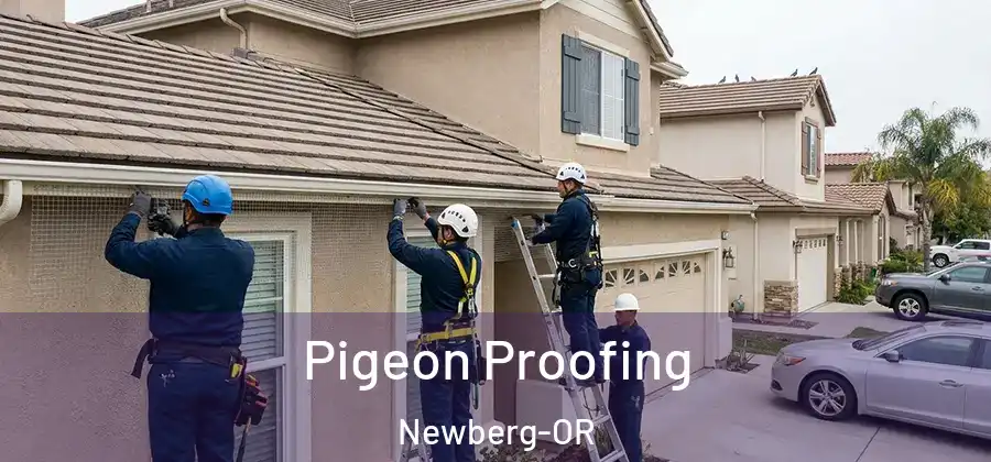 Pigeon Proofing Newberg-OR
