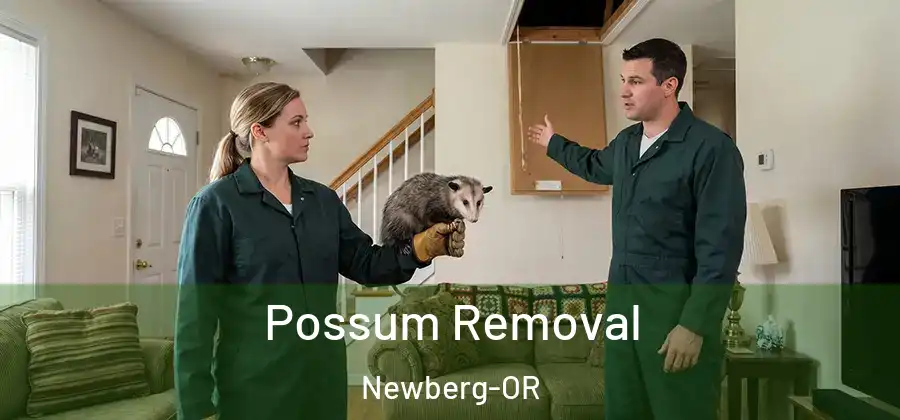 Possum Removal Newberg-OR