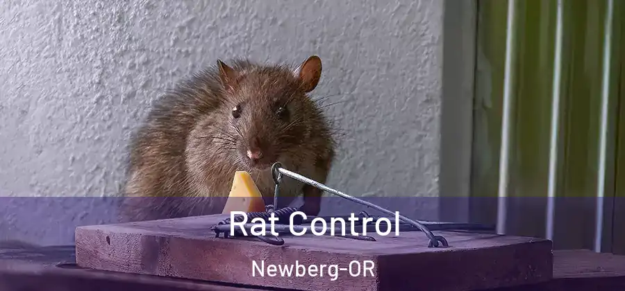  Rat Control Newberg-OR