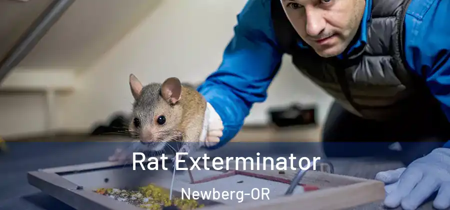 Rat Exterminator Newberg-OR